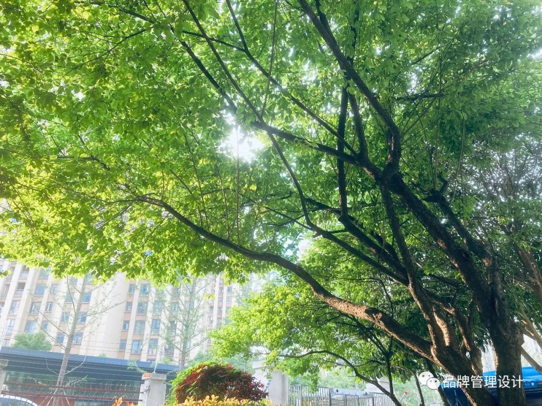 1685429926311993.jpg q3.jpg